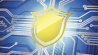 2019年蒼南縣網絡安全宣傳周啟動 聚焦網絡安全軟件開發，活動精彩不容錯過